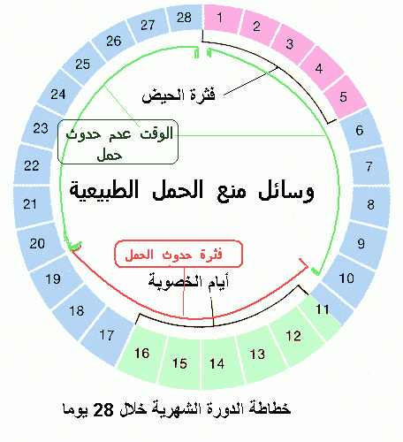 تعرفي على موانع الحمل الطبيعية