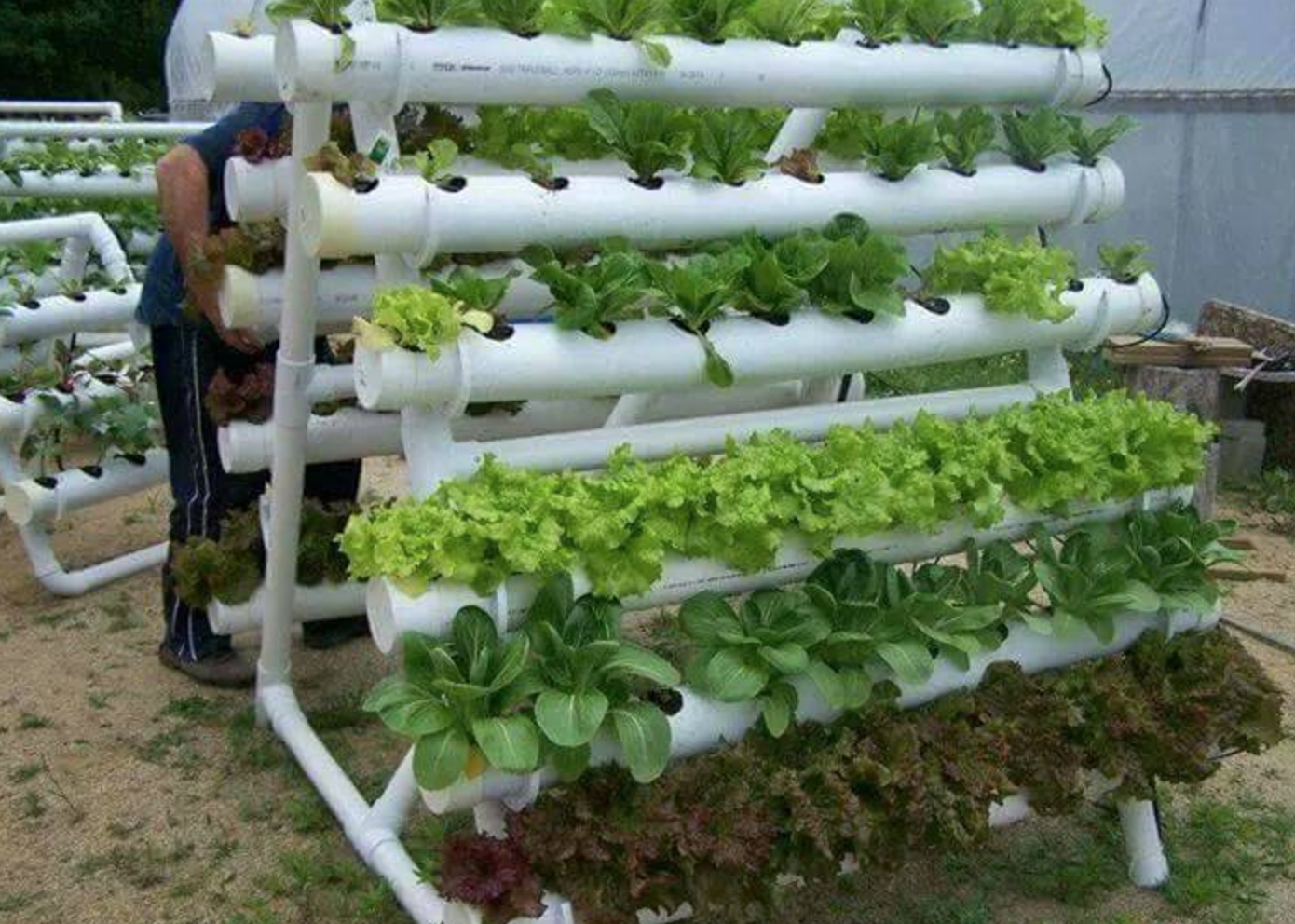 أفكار مبتكرة للزراعة بالمنزل