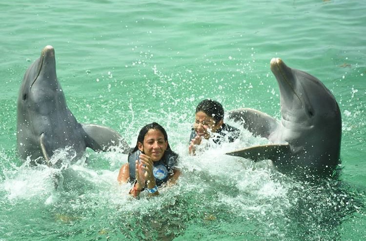 بالصور.. الحديوي تسبح بصحبة ابنتها مع الدلافين