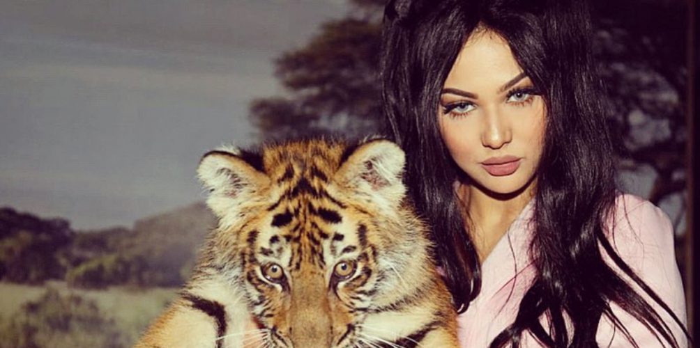 وسط النمور.. ابتسام تسكت في جلسة تصوير غريبة!