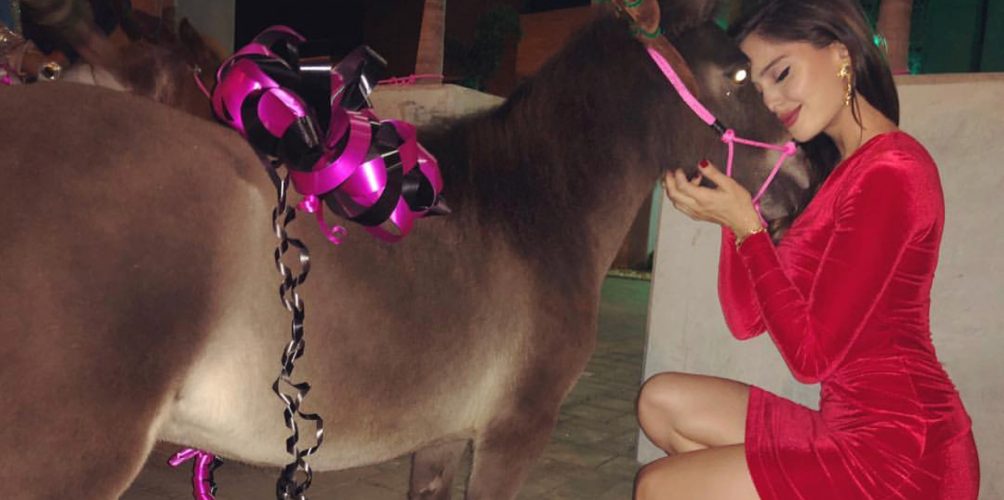 بمناسبة &laquo;&nbsp;الكريسماس&nbsp;&raquo;.. مالوما يهدي صديقته حمارا! (صورة)