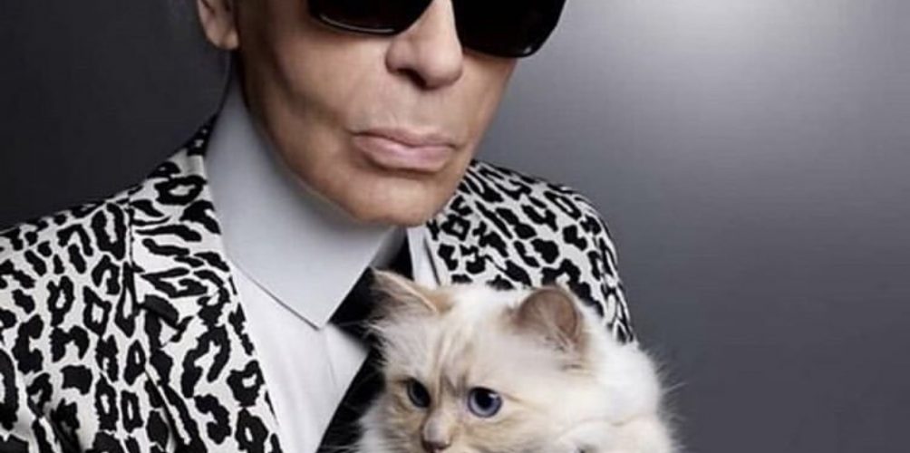 أغنى قطة في العالم.. المصمم لاغرفيلد يورث قطته أكثر من 195 مليون دولار!