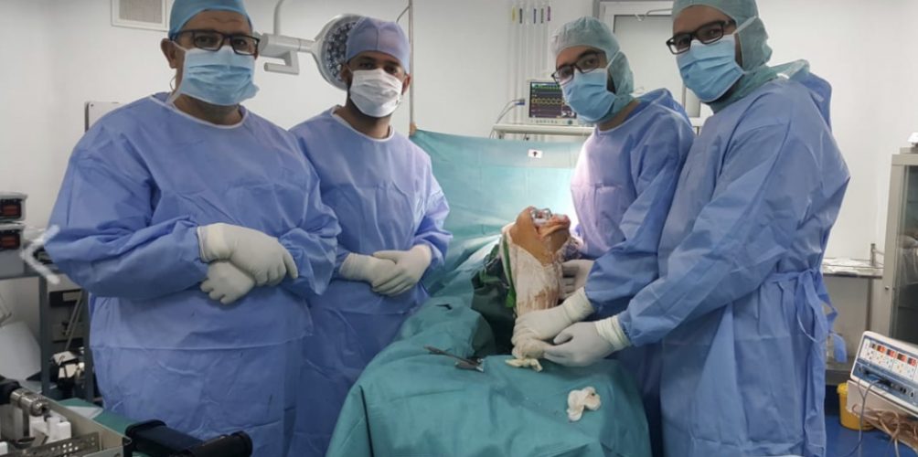 ميدلت.. فريق طبي ينجح في استبدال مفصل وركبة لسيدتين