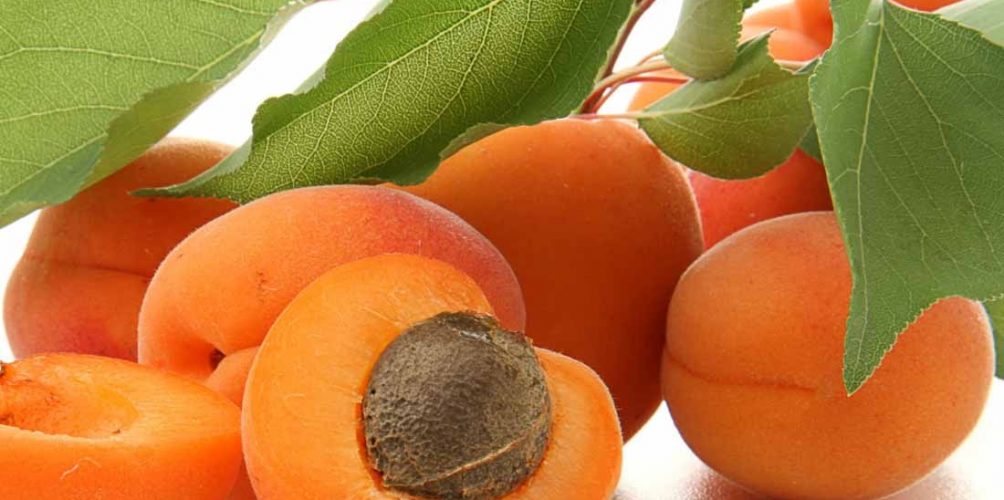 يحميكم من عدة أمراض.. فوائد صحية مذهلة للمشمش !