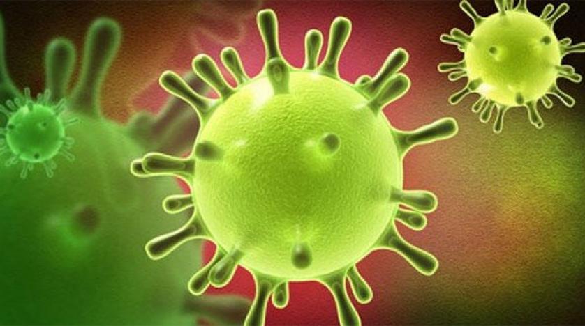 تم تحديدها في 6 أيام.. وزارة الصحة تكشف فترة الحضانة لفيروس كورونا عند المصابين