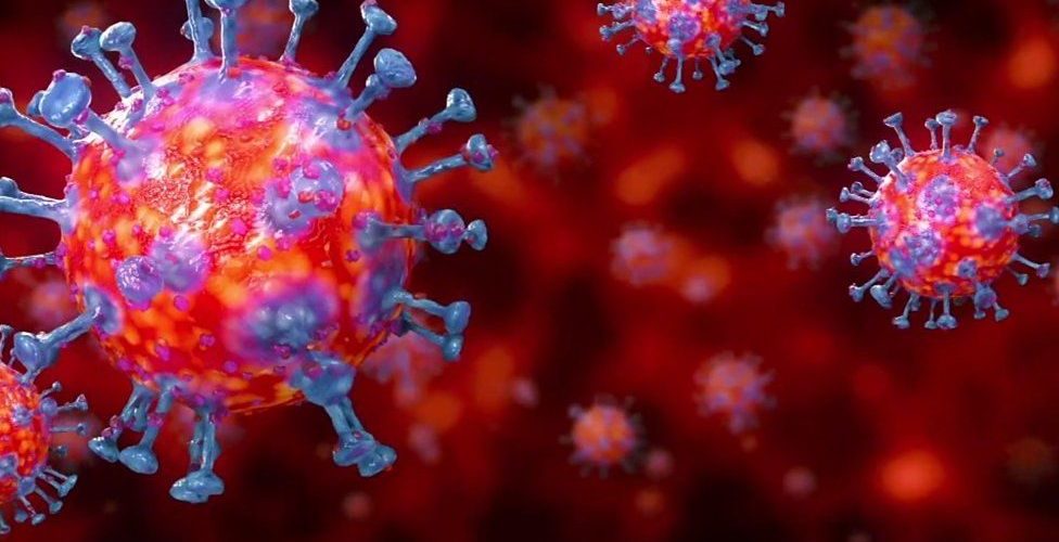 منظمة الصحة العالمية: تعرض الإنسان لأشعة الشمس لا يمنعه من الإصابة بكورونا
