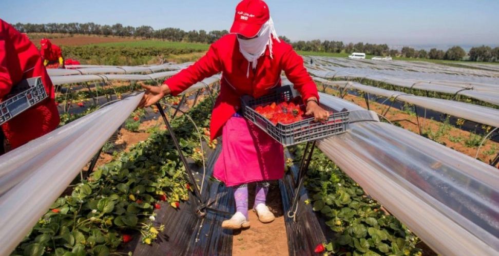 بأزيد من 400 إصابة.. بؤرة لالة ميمونة وراء ارتفاع الحصيلة اليومية لكورونا في المغرب