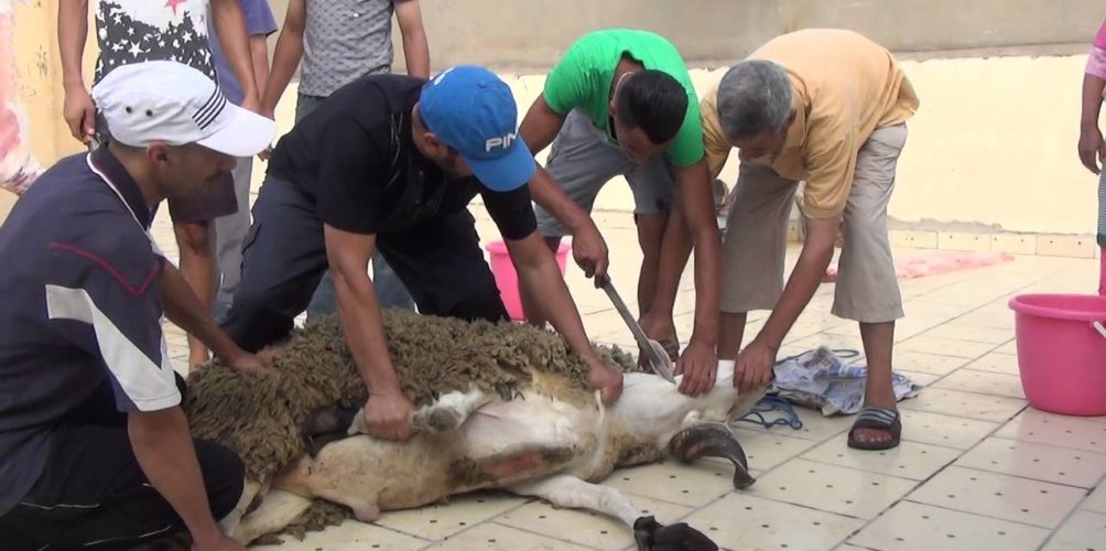 عيد الأضحى.. رخص خاصة للجزارين وإلزامية الخضوع لكشف كورونا