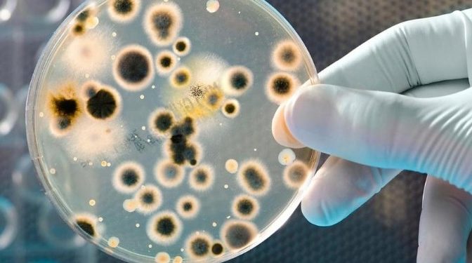 أسوأ من كورونا.. علماء يحذرون من بكتيريا قاتلة قادمة