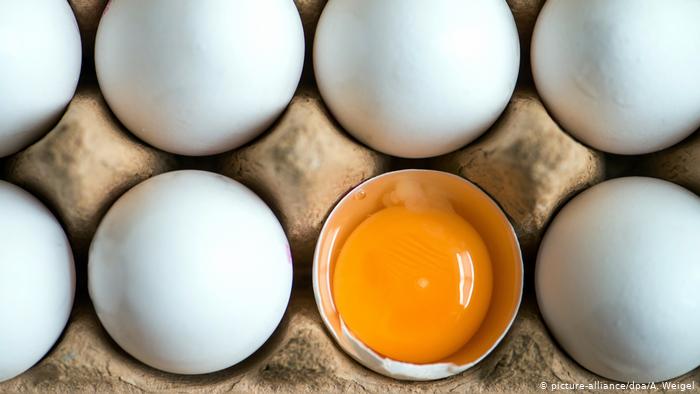 مادة غذائية ضرورية.. أخصائية تكشف فوائد تناول البيض يوميا