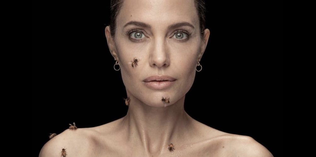 في مبادرة &laquo;&nbsp;نساء من أجل النّحل&nbsp;&raquo;.. سربٌ من النحل يغطّي جسد أنجلينا جولي