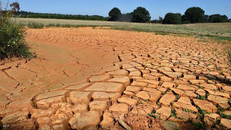 بسبب الجفاف.. علماء يحذرون من نقص في القهوة والسكر
