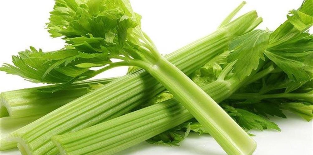 يعزز وظائف الكلى والصحة الجنسية.. أبحاث طبية تكشف عن فوائد الكرفس