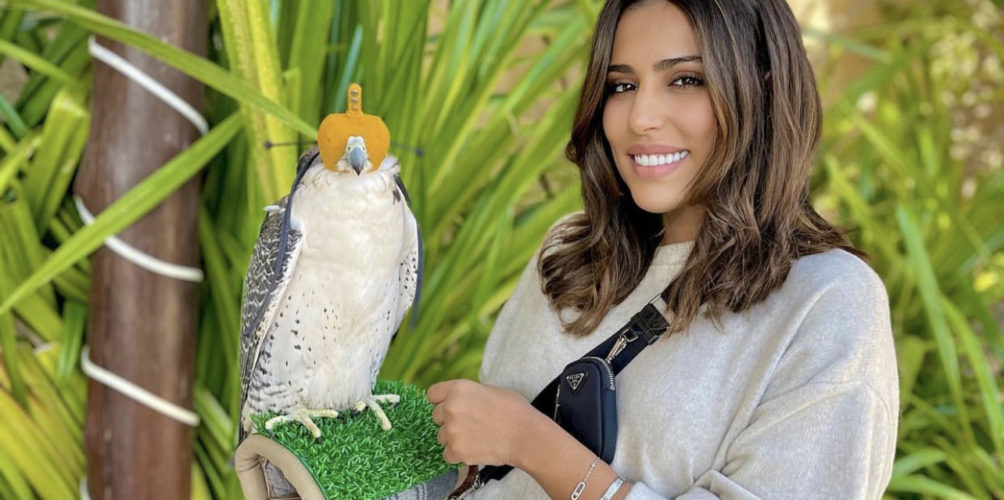 بسبب التواصل.. رجاء بلمير غاضبة من الحكومة (فيديو)