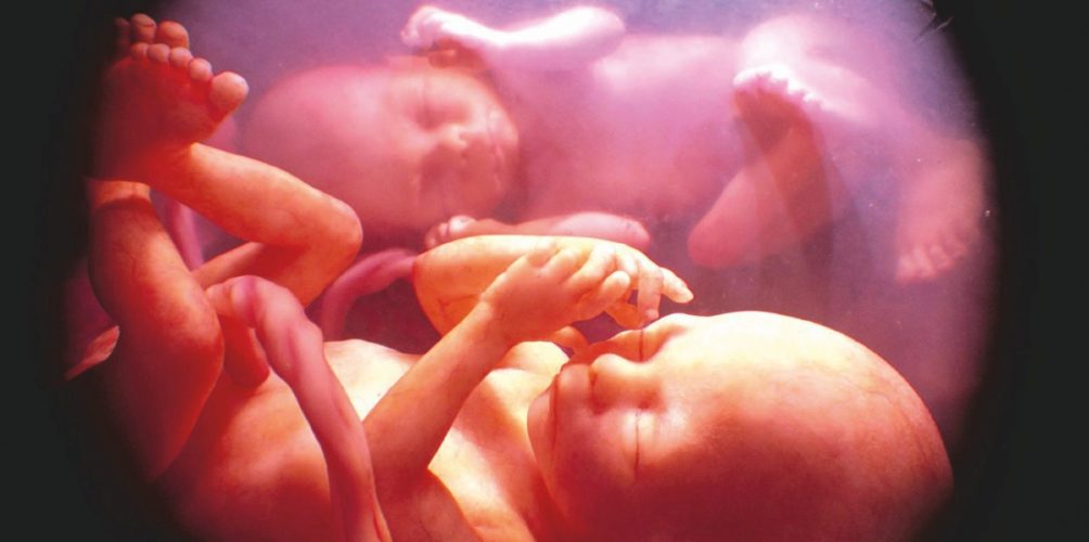 السماح لضحايا الإغتصاب بالإجهاض.. الاكوادور تقر قانونا جديدا
