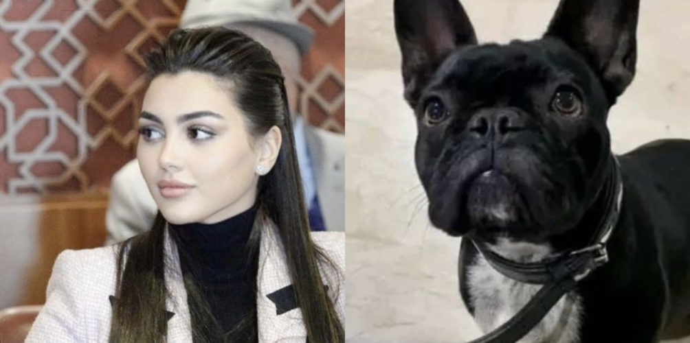 فقدت كلبتها.. حسناء البرلمان تطلب المساعدة