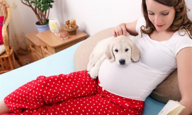عكس الكلاب.. امتلاك قطة أثناء الحمل يزيد من خطر إصابة الأم باكتئاب ما بعد الولادة